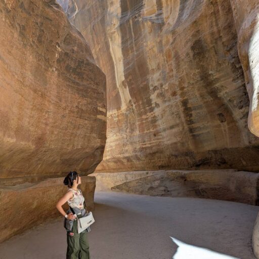 肉を求めて西へ東へ